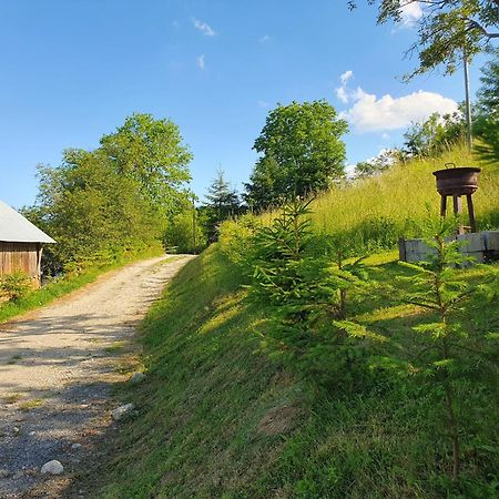 Cabana Valea Lui Mas Robaia Екстериор снимка