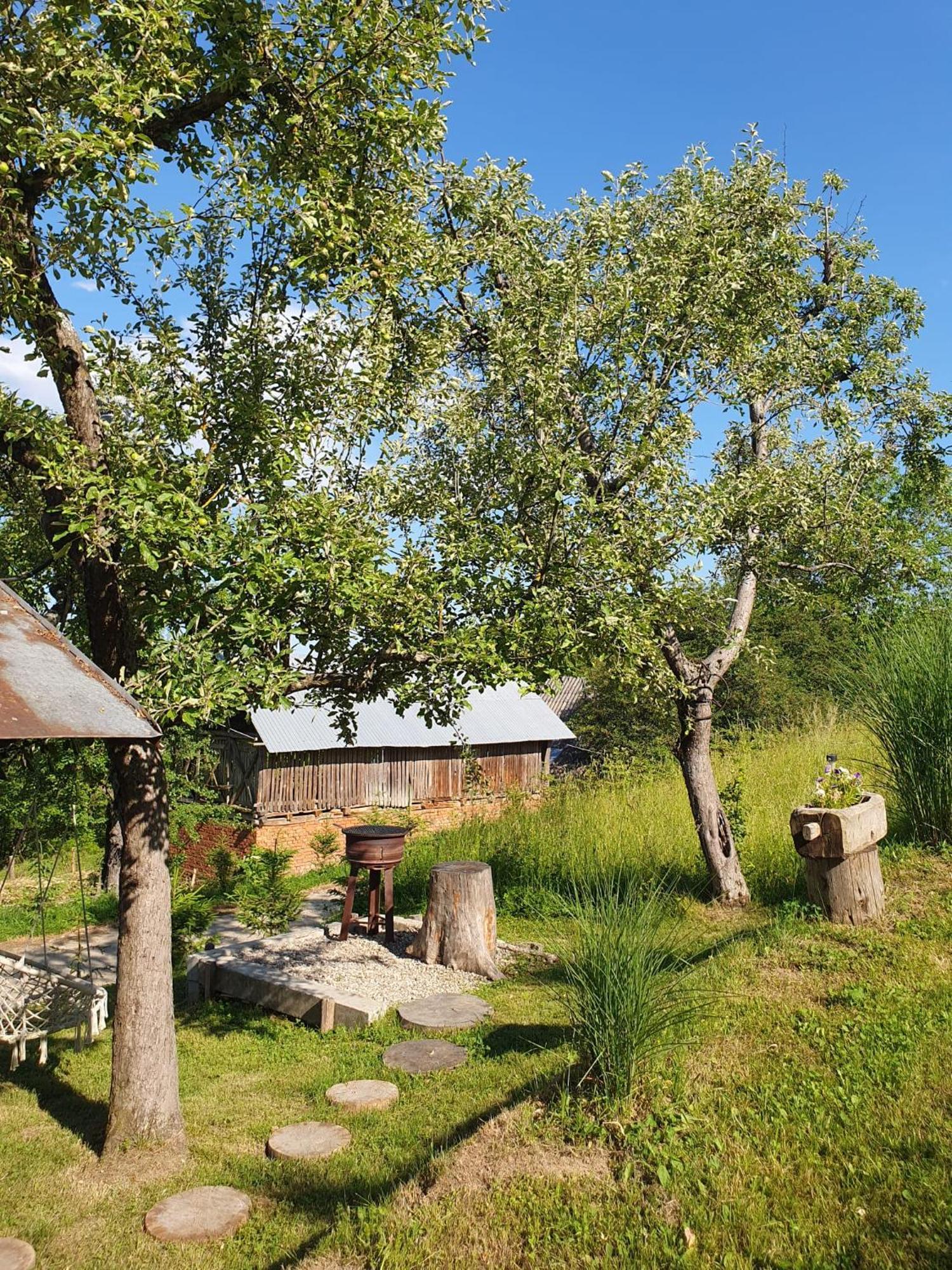 Cabana Valea Lui Mas Robaia Екстериор снимка