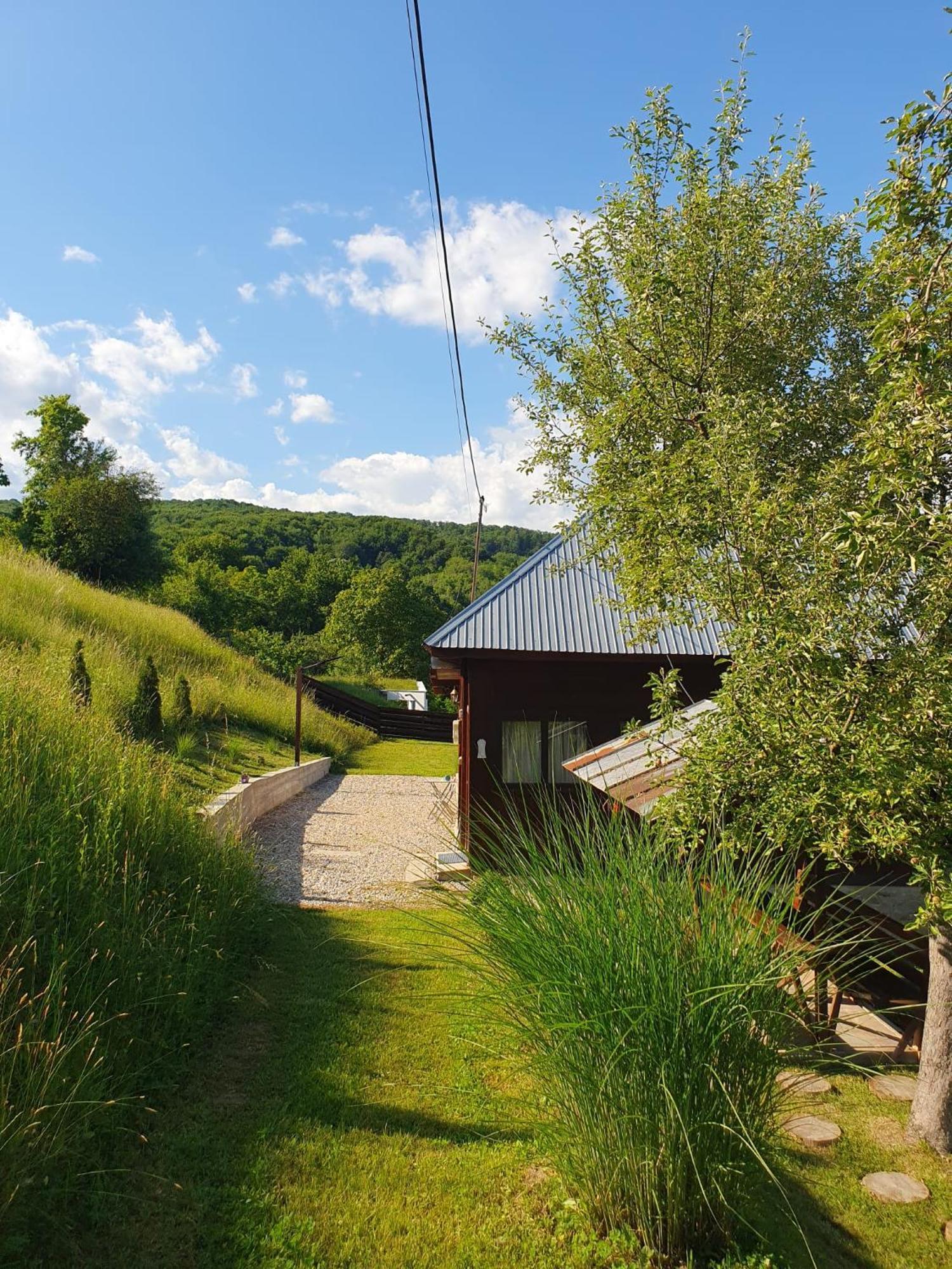 Cabana Valea Lui Mas Robaia Екстериор снимка