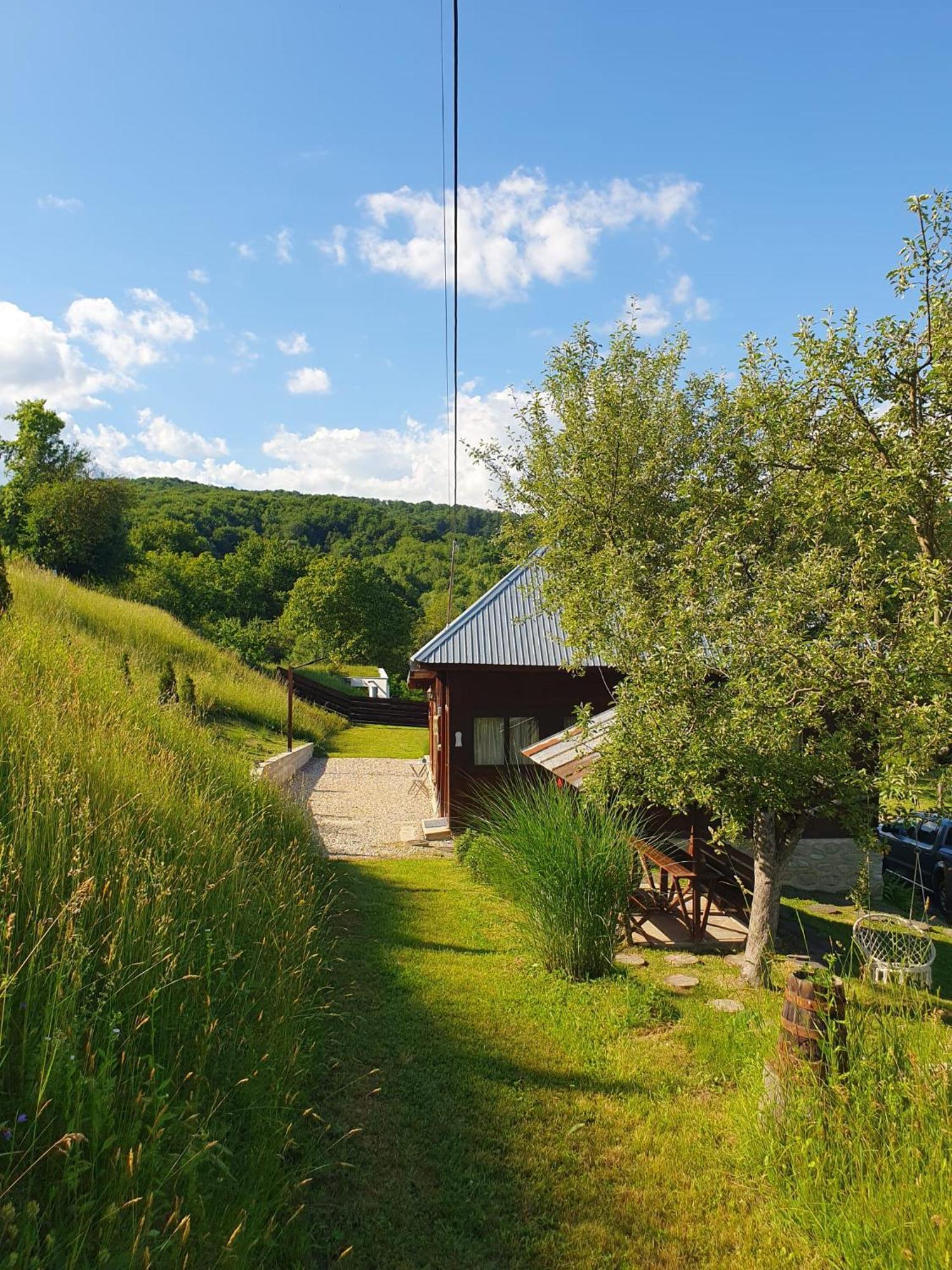 Cabana Valea Lui Mas Robaia Екстериор снимка