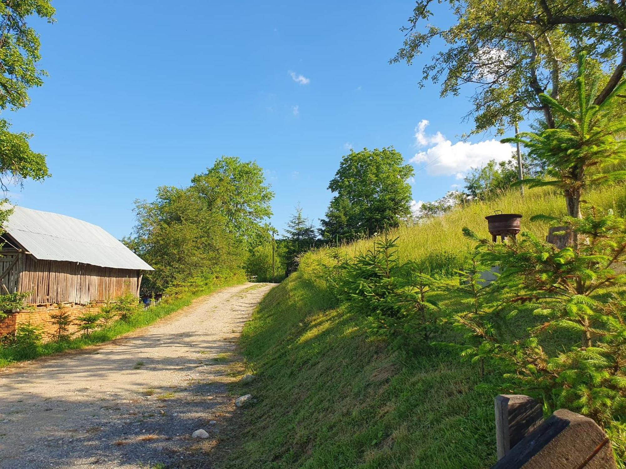 Cabana Valea Lui Mas Robaia Екстериор снимка