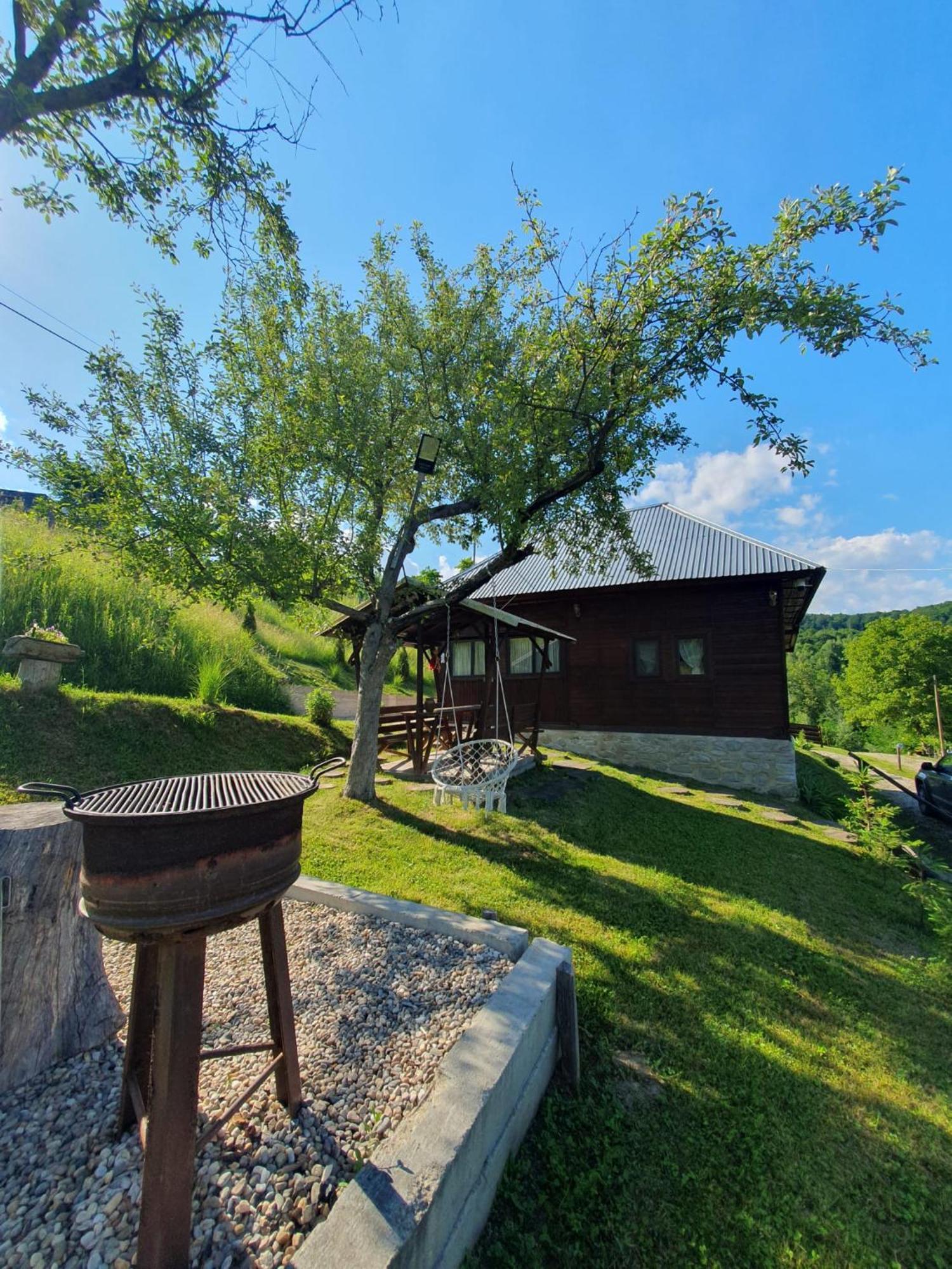 Cabana Valea Lui Mas Robaia Екстериор снимка