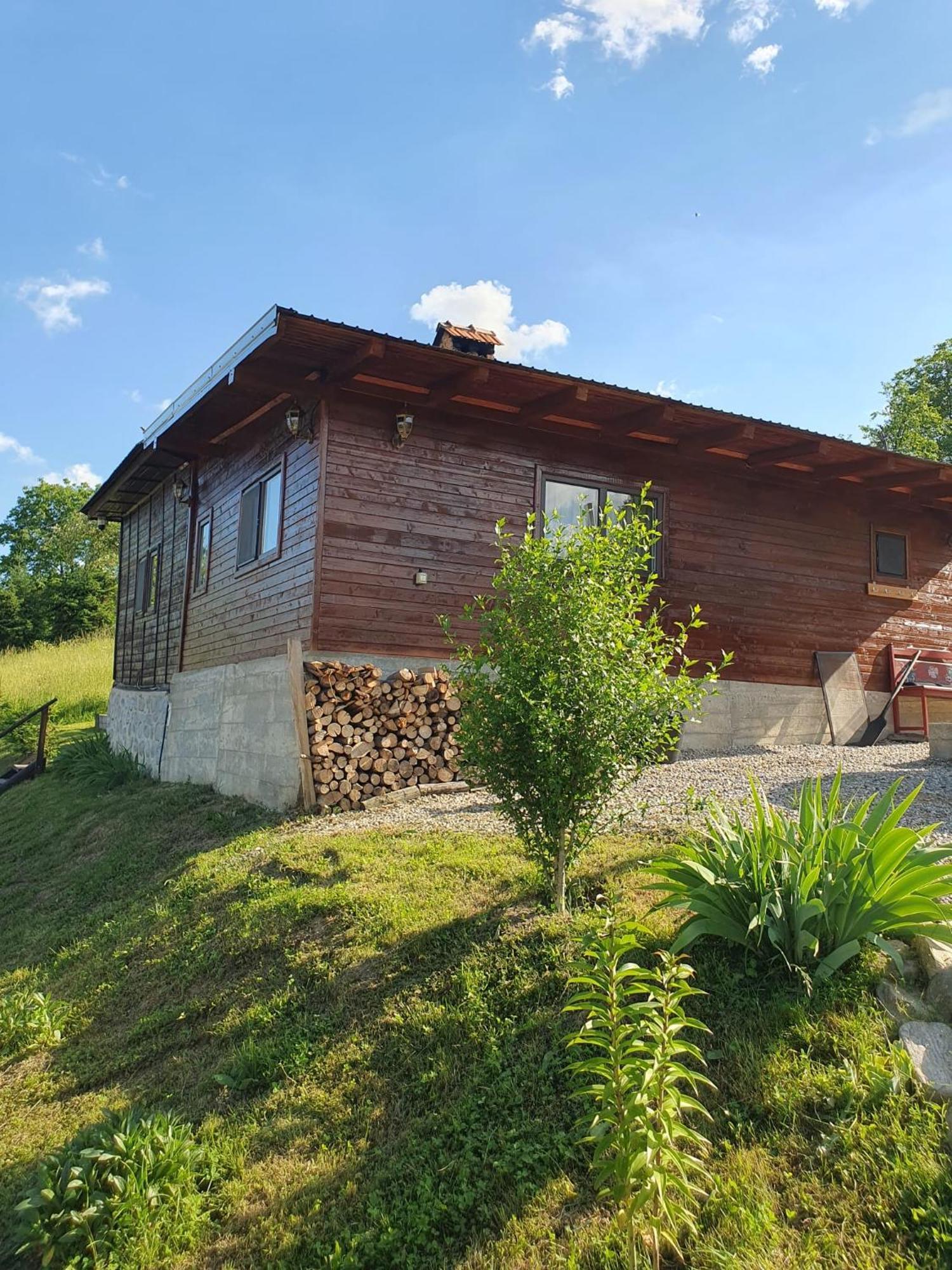 Cabana Valea Lui Mas Robaia Екстериор снимка