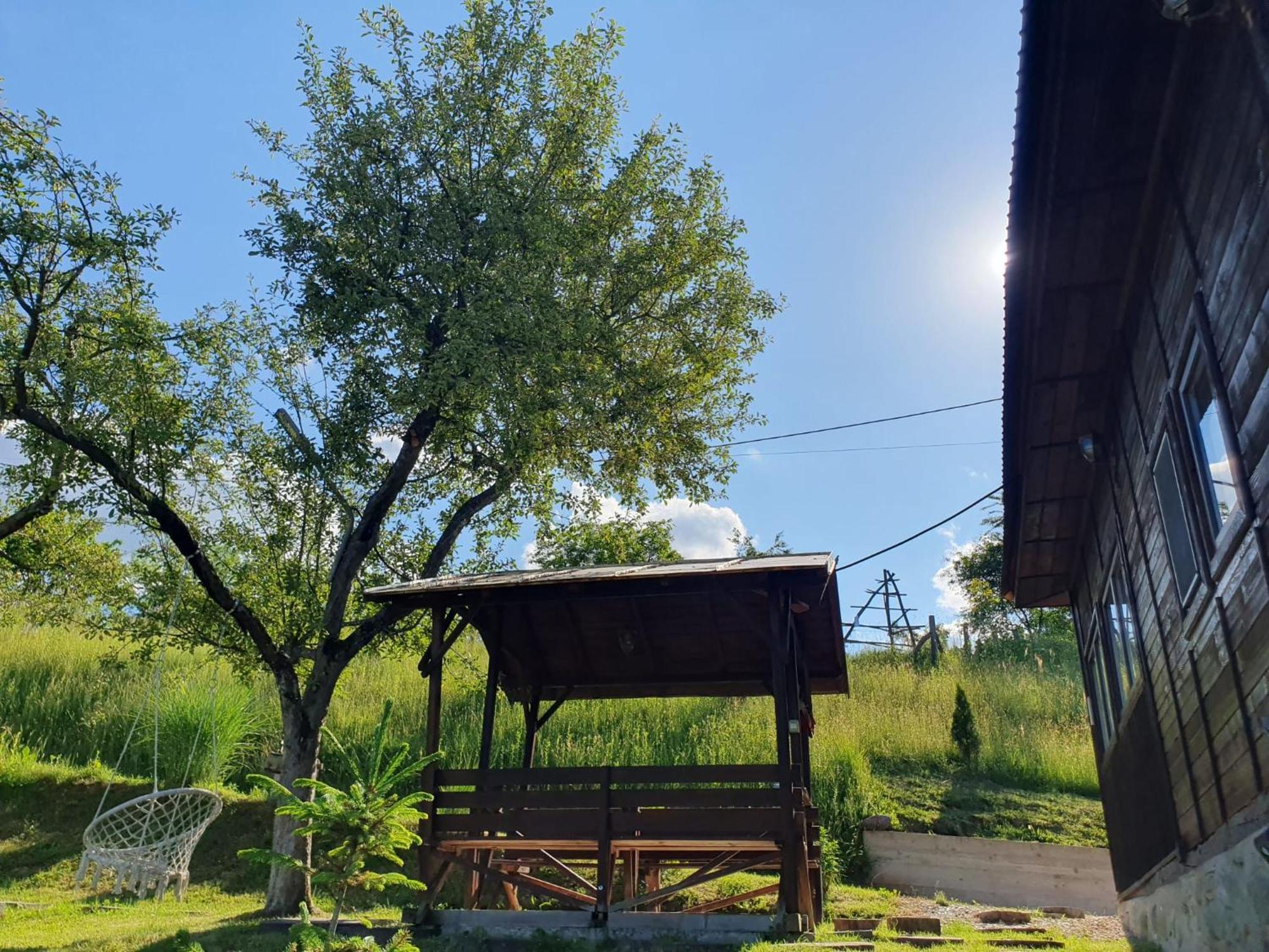 Cabana Valea Lui Mas Robaia Екстериор снимка