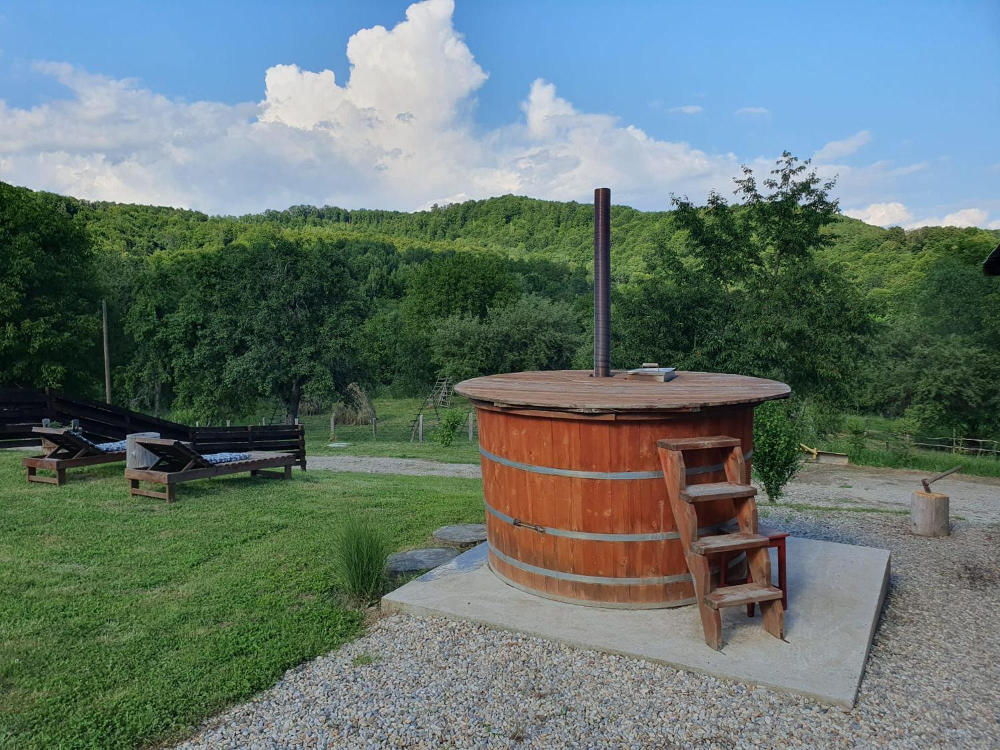 Cabana Valea Lui Mas Robaia Екстериор снимка