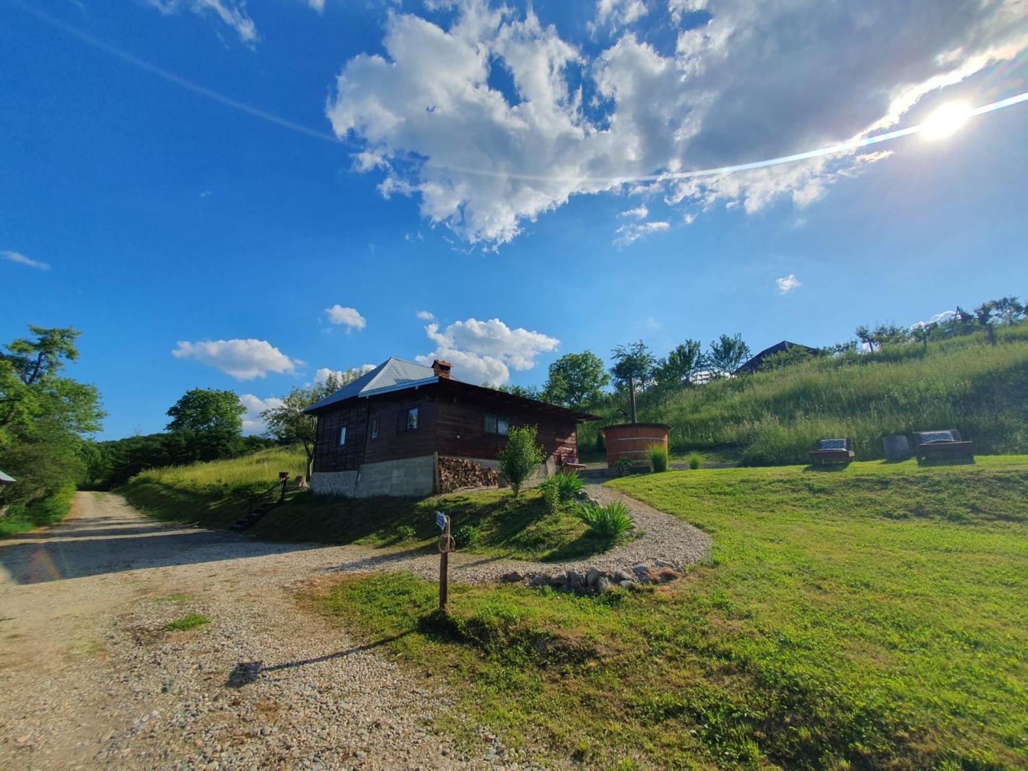 Cabana Valea Lui Mas Robaia Екстериор снимка
