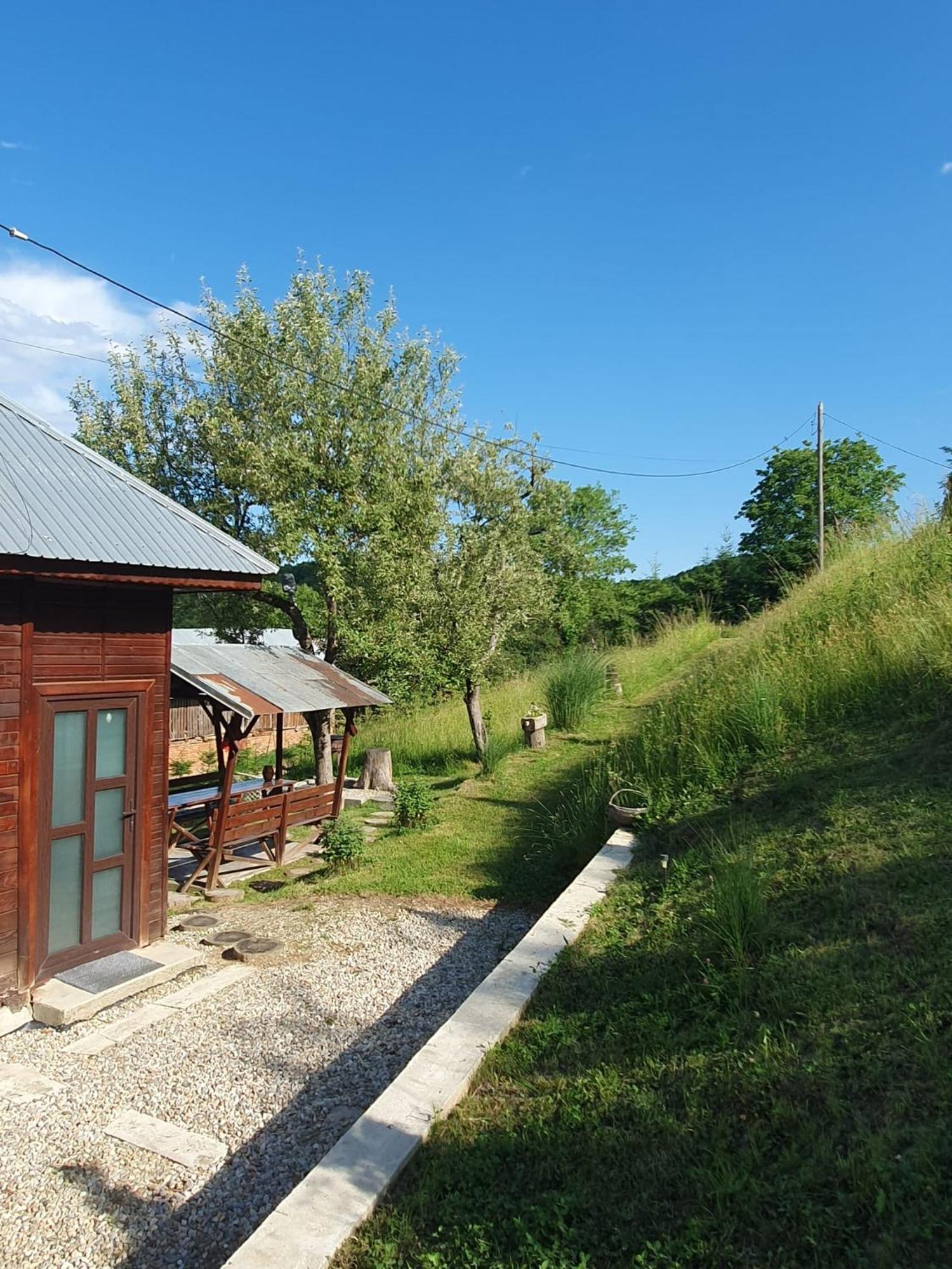 Cabana Valea Lui Mas Robaia Екстериор снимка
