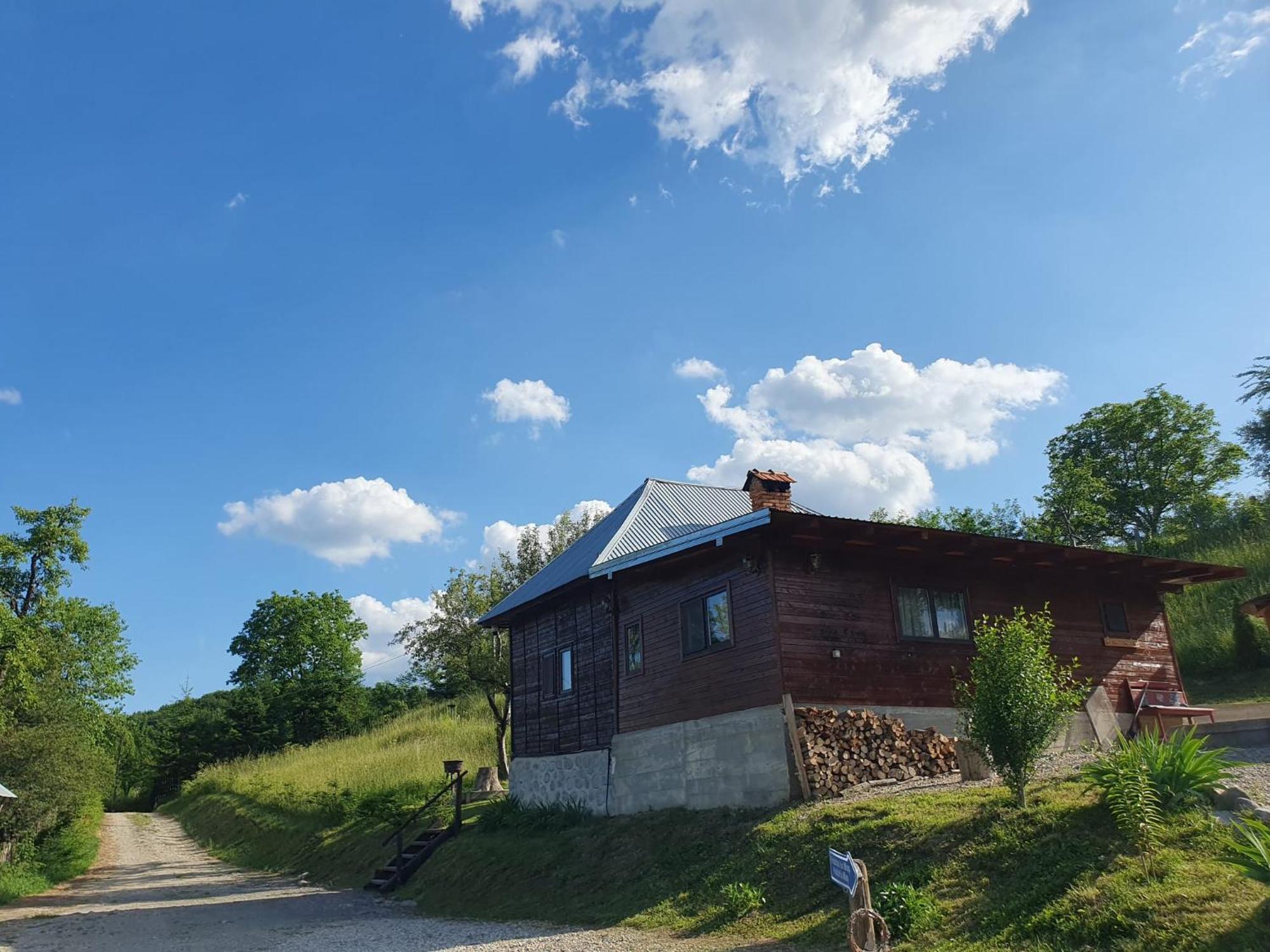 Cabana Valea Lui Mas Robaia Екстериор снимка